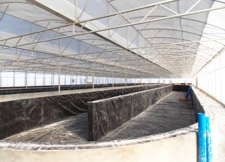 養(yǎng)殖車間內(nèi)景1